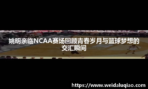 ballbet贝博官方网站