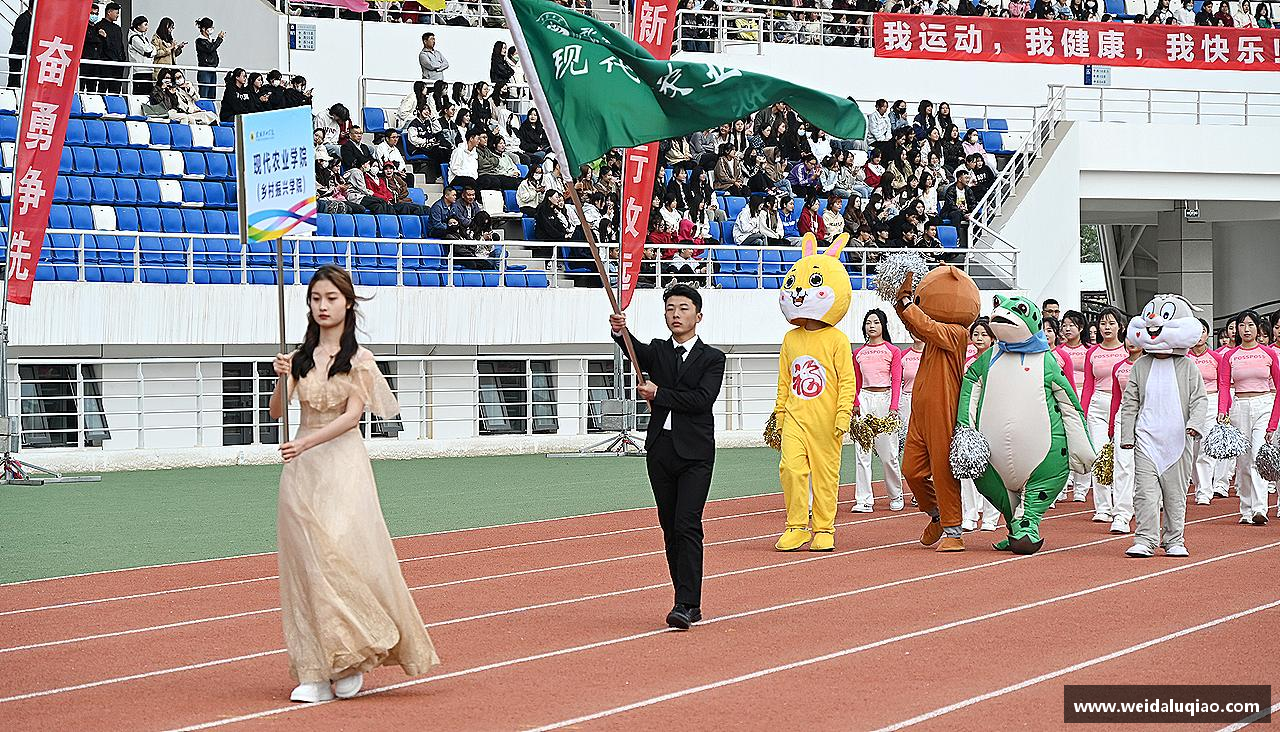 敢为人先，创造传奇！